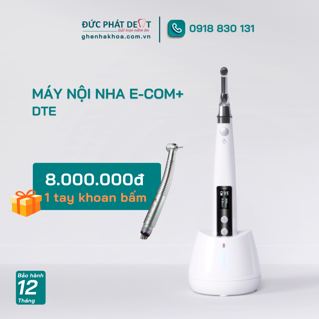 Máy nội nha DTE - E COM+