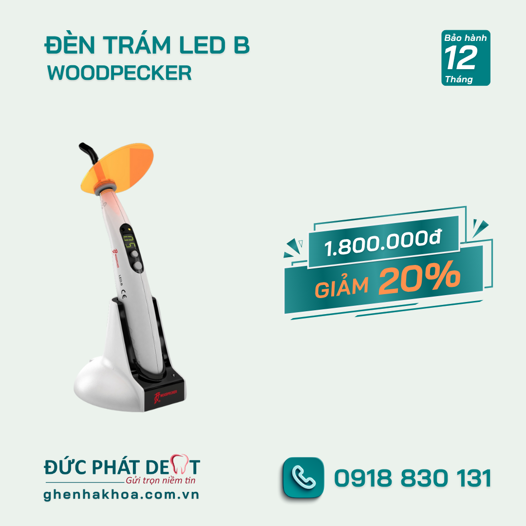 Đèn trám Woodpecker LED - B