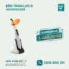 Đèn trám Woodpecker LED - B