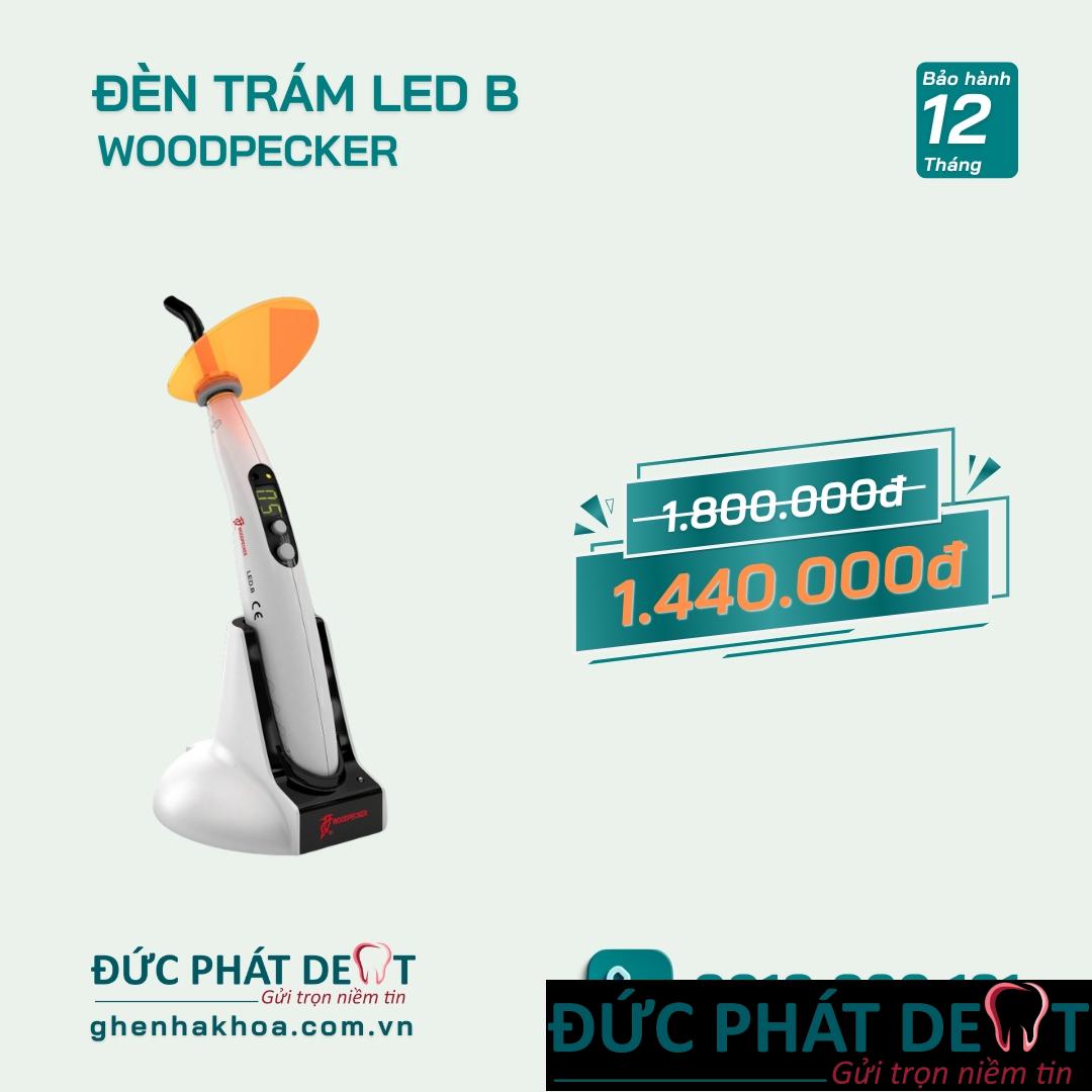 Đèn trám Woodpecker LED - B